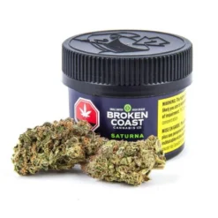 Broken Coast Saturna New Arrivals