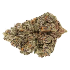 Broken Coast Sunset Sherbet