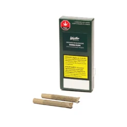 Whistler Cannabis Co. Bubba Kush