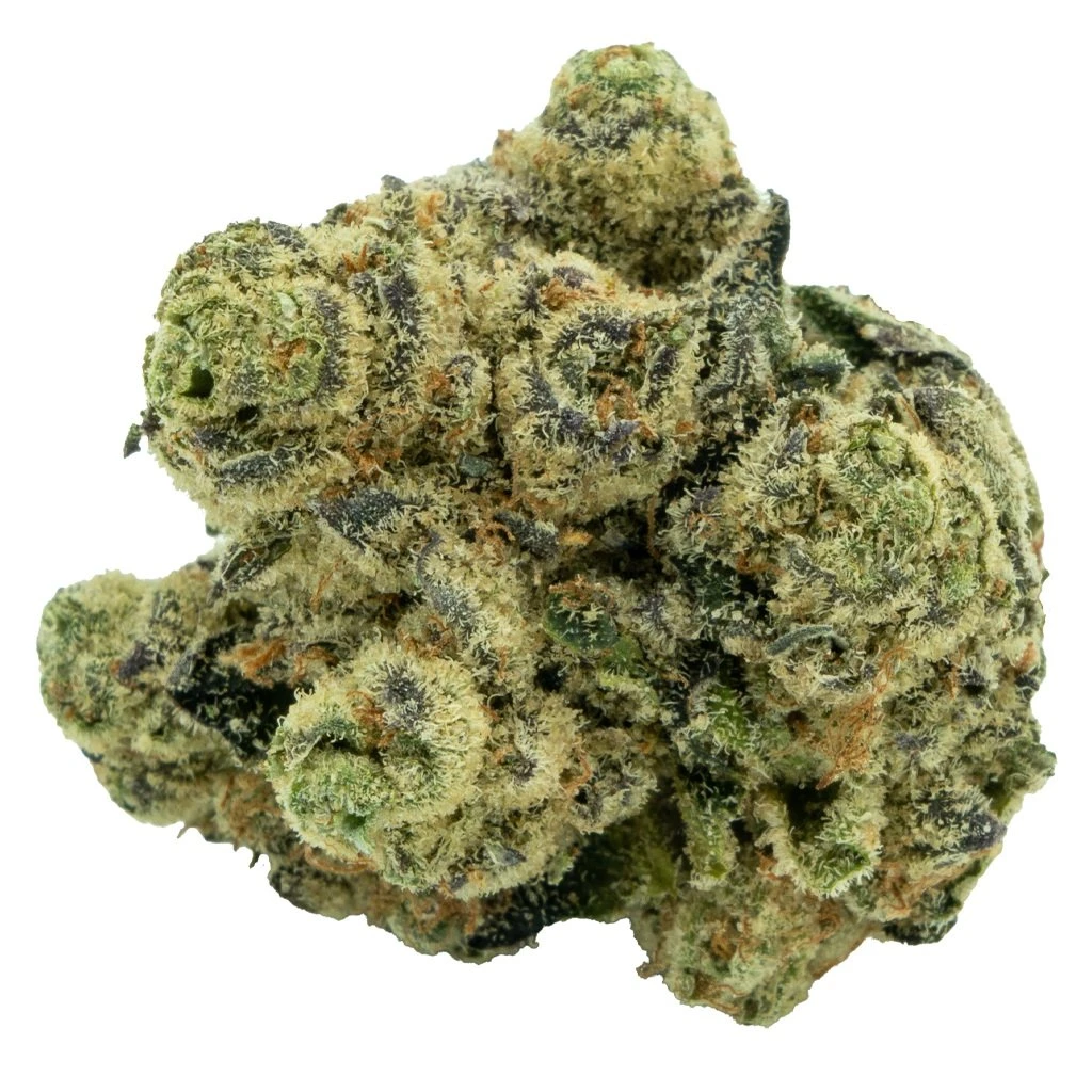 Burb Zaza 3 Burb Zaza