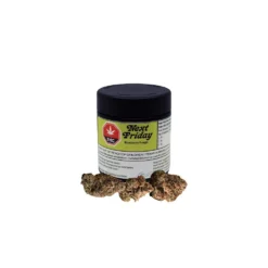 Next Friday New Arrivals Blueberry Fuego