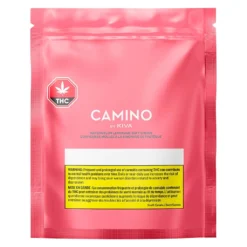 Camino - CA Watermelon Lemonade Gum 2 X 3.6 G