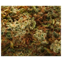 New Arrivals DOJA C99 7 New Arrivals DOJA C99