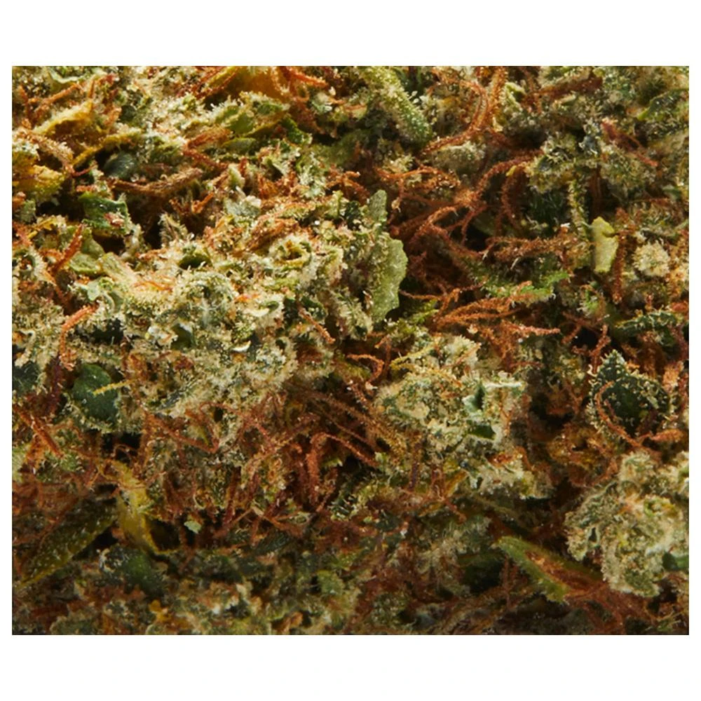 New Arrivals DOJA C99 5 New Arrivals DOJA C99