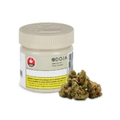 New Arrivals DOJA C99