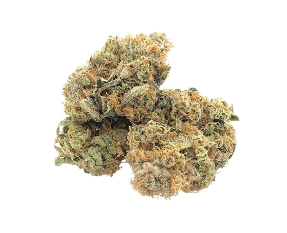 Distinkt New Arrivals Cactus Breath 4 Distinkt New Arrivals Cactus Breath