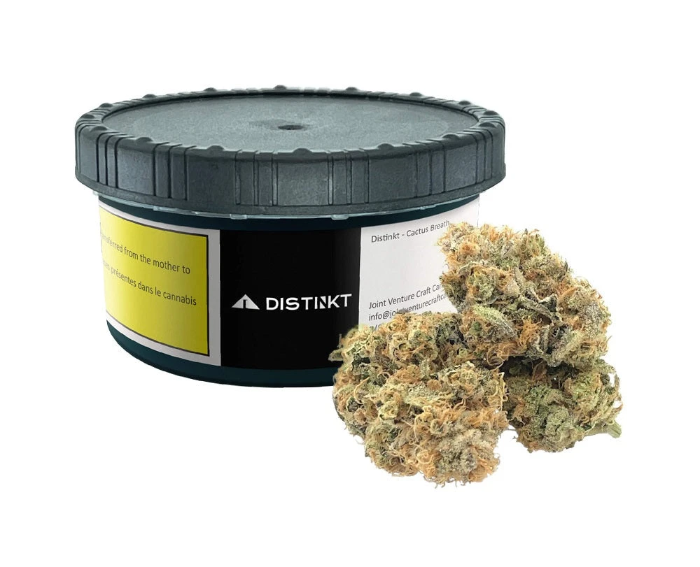 Distinkt New Arrivals Cactus Breath 3 Distinkt New Arrivals Cactus Breath