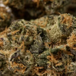 JOI Botanicals Cake Crasher #1