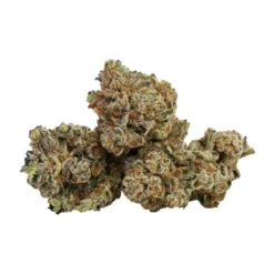 BZAM Cake Crasher New Arrivals