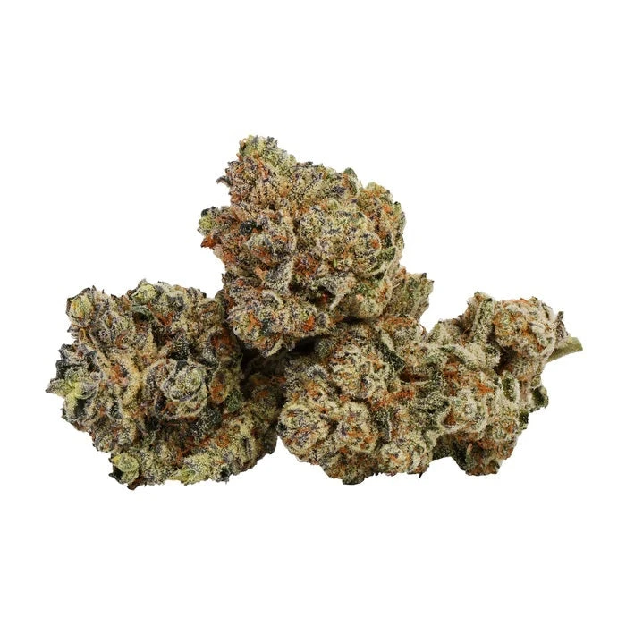 BZAM Cake Crasher New Arrivals 3 BZAM Cake Crasher New Arrivals