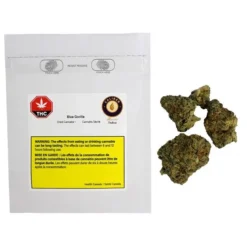 Caliber Reserve Blue Gorilla New Arrivals