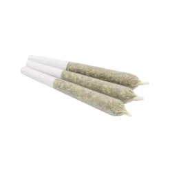 Canaca Blend 24 PR 3 X 0.5 G Pre-Rolls
