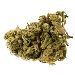 Canna Farms Canna Bliss