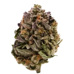 New Arrivals Canna Farms Pink Kush