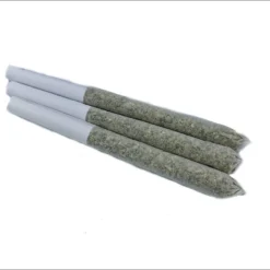 Greenade Canuk Cookies PR 3 X 0.5 G