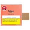 Foray Edibles & Drinks Caramel Apple Pie Chocolate Square
