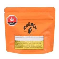 New Arrivals Carmel Animal Face