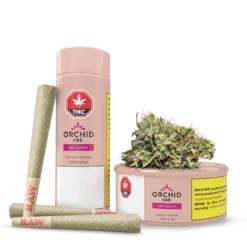 Orchid CBD CBD Runtz PR 5 X 0.5 G