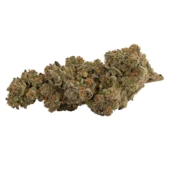 Bullrider New Arrivals Purple Sunset