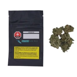 Sitka Micro Collection Cheddar BOB New Arrivals