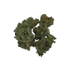 Sitka Micro Collection Cheddar BOB New Arrivals