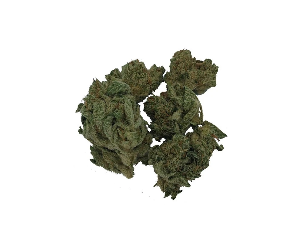 Sitka Micro Collection Cheddar BOB New Arrivals 4 Sitka Micro Collection Cheddar BOB New Arrivals