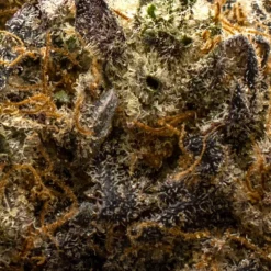 Tommy's Craft Cannabis New Arrivals Cherry '47