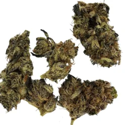 Sitka Micro Collection Chimp Mints