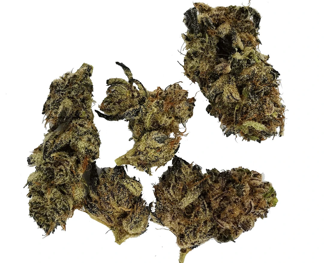 Sitka Micro Collection Chimp Mints 4 Sitka Micro Collection Chimp Mints