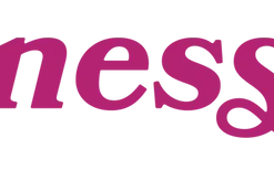 Ness Chocolate Cheesecake PR 7 X 0.5 G Pre-Rolls