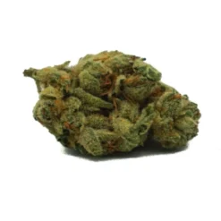 Citizen Stash Chocolate Sour Diesel