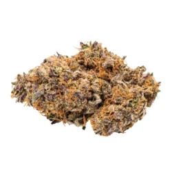 New Arrivals Citizen Stash Fruity P's