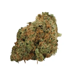 Citizen Stash Sage N Sour New Arrivals