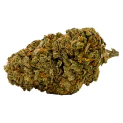 Lowbanks Grow New Arrivals Citrique