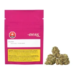 Ness New Arrivals Citrus Rush