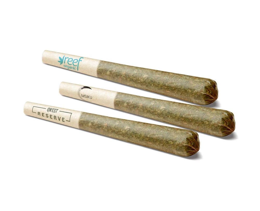 AHLOT Coast To Coast PR 3 X 0.5 G 3 AHLOT Coast To Coast PR 3 X 0.5 G