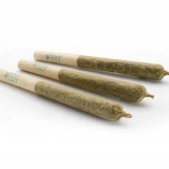 Reef Organic Coastal Kush Pre-Rolls 7 Reef Organic Coastal Kush Pre-Rolls