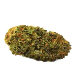 New Arrivals Color Cannabis Blueberry Seagal