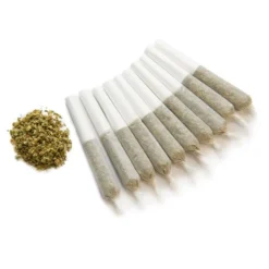 Color Cannabis Pre-Rolls Ghost Train Haze PR 10 X 0.35 G