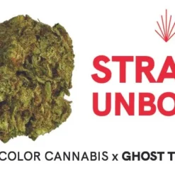 Color Cannabis Ghost Train Haze