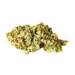 Color Cannabis Ghost Train Haze