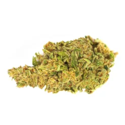 New Arrivals Color Cannabis White Shark