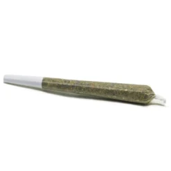 COVE Rest Pre Roll (1g) Pre-Rolls