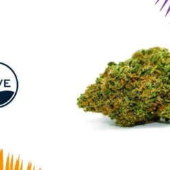 Cannabis Shop 16 New Arrivals COVE Rise Reserve