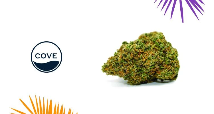 New Arrivals COVE Rise Reserve 4 New Arrivals COVE Rise Reserve