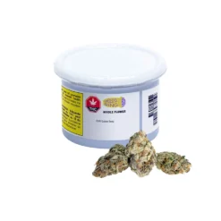 Mood Ring New Arrivals Craft Golden Berry