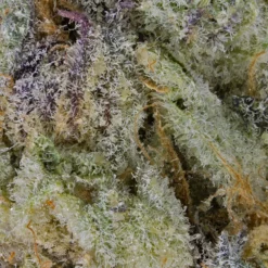 Mood Ring New Arrivals Craft Golden Berry