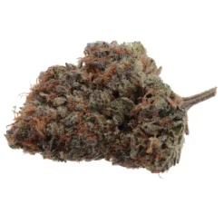 Wink New Arrivals Craft Granola Funk