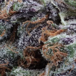 Wink Craft Mango Sapphire