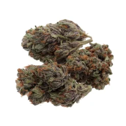 Wink Craft Mango Sapphire